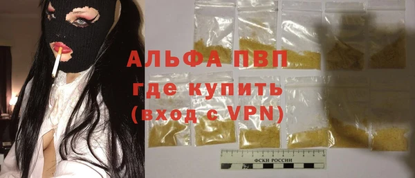 амф Гусиноозёрск