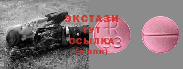 амф Гусиноозёрск