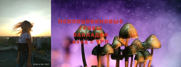 дмт Гусь-Хрустальный