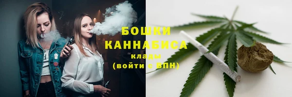 амф Гусиноозёрск