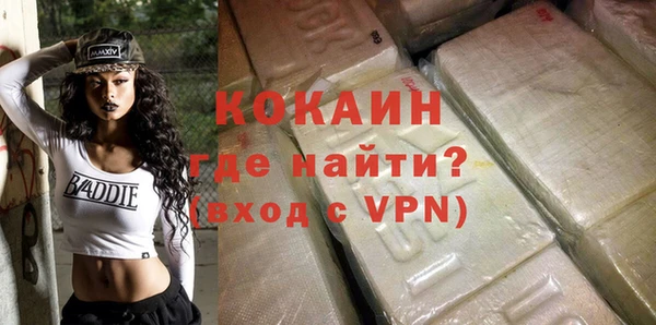 амф Дубна