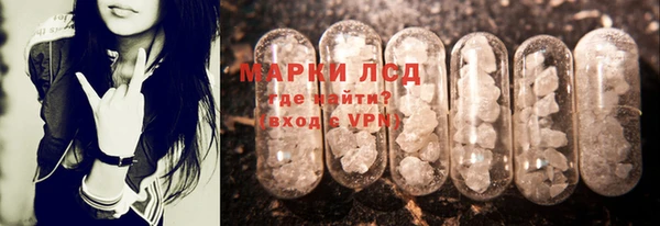 амф Гусиноозёрск
