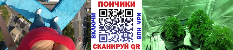 закладка  мега онион  Бошки Шишки конопля  Карпинск 